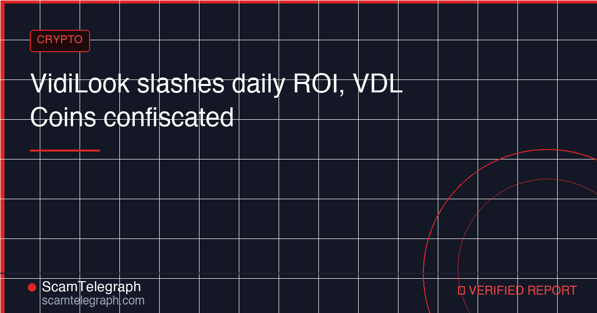 VidiLook slashes daily ROI, VDL Coins confiscated