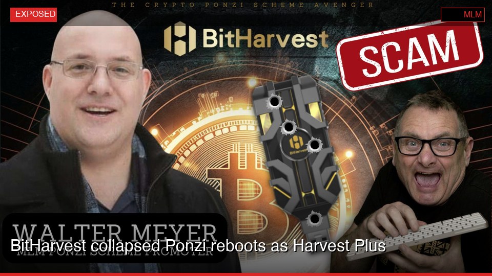 BitHarvest collapsed Ponzi reboots as Harvest Plus