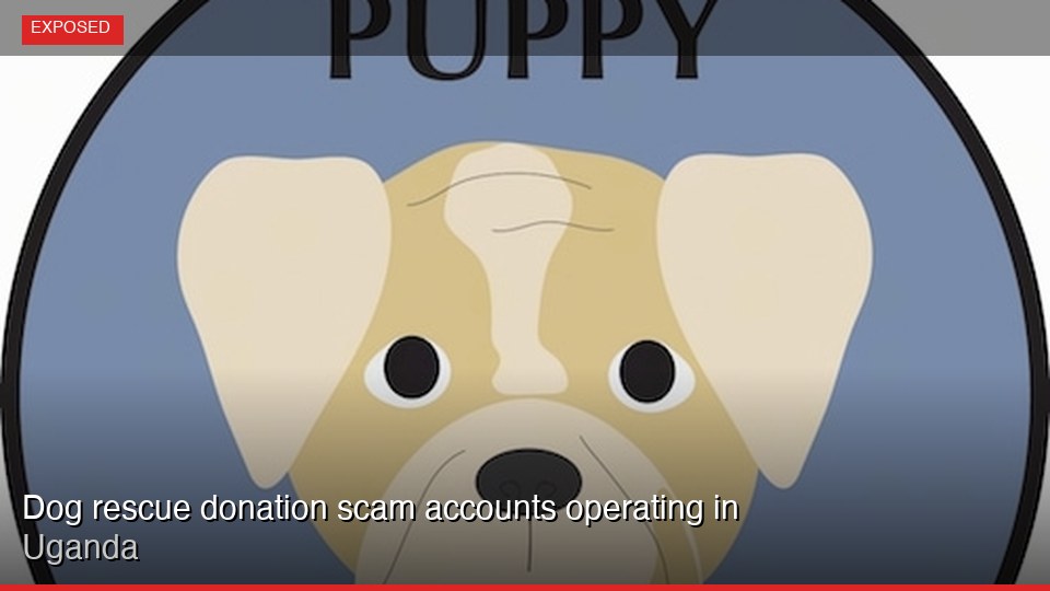 Dog rescue donation scam accounts operating in Uganda