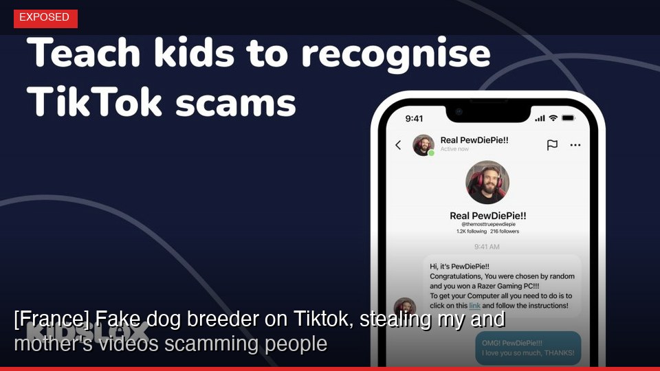 [France] Fake dog breeder on Tiktok, stealing my mother's videos and scamming people