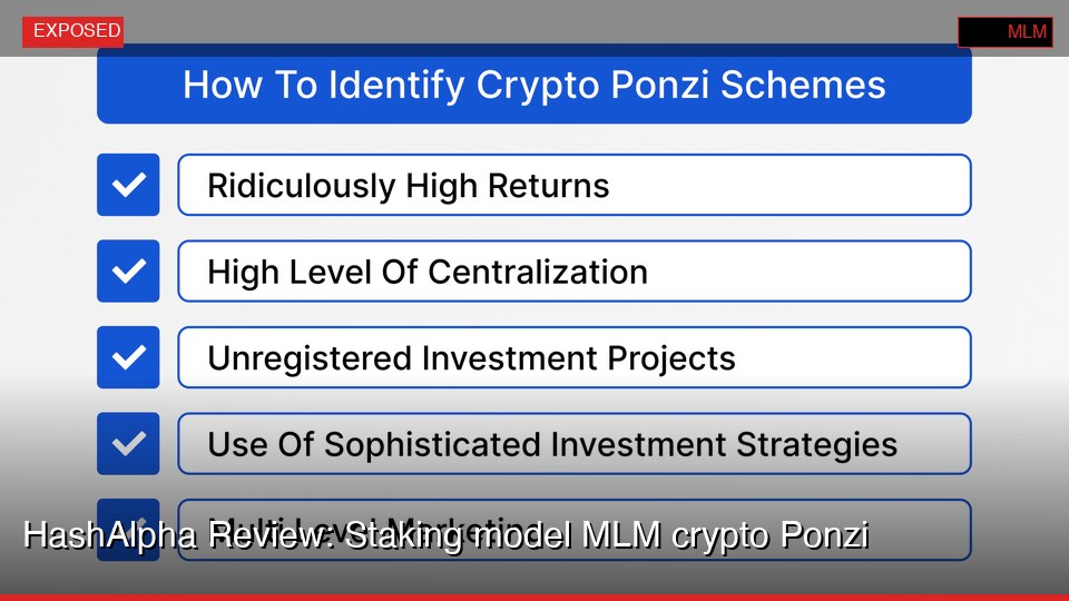 HashAlpha Review: Staking model MLM crypto Ponzi